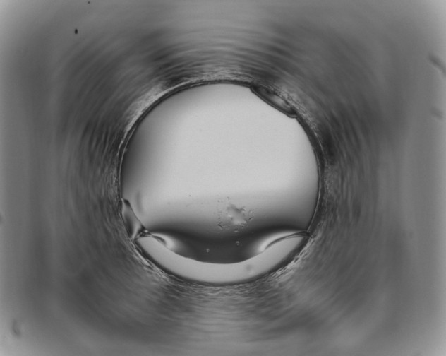 X0000096701089200803041316