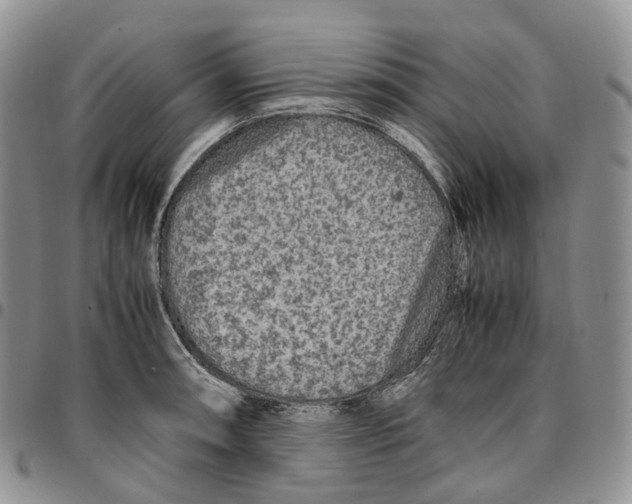 X0000096701090200803041316