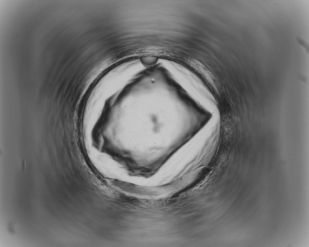 X0000096701091200803041316