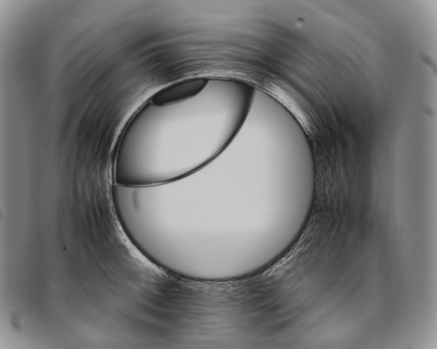X0000096701092200803041316