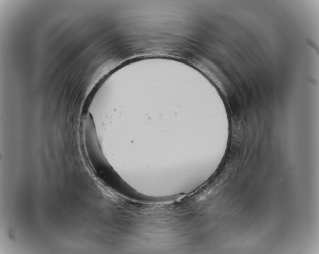 X0000096701093200803041316