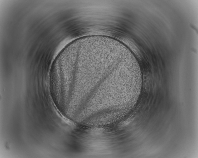 X0000096701094200803041316