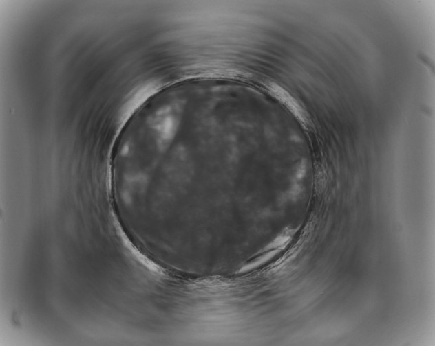 X0000096701095200803041316