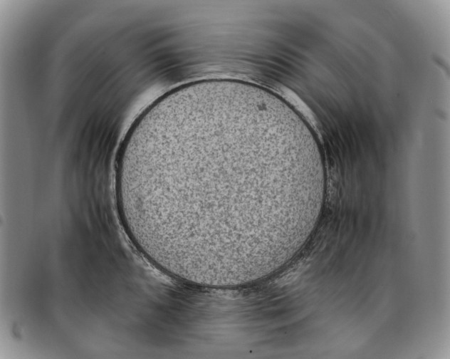 X0000096701096200803041316
