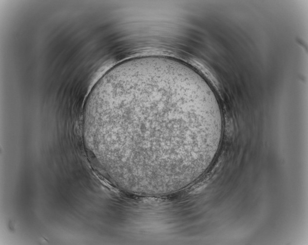 X0000096701097200803041316