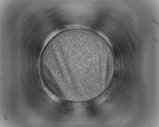 X0000096701098200803041316