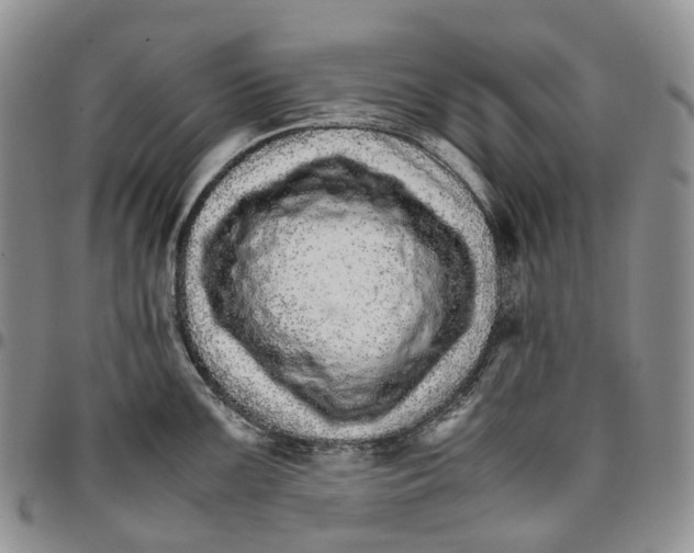 X0000096701099200803041316