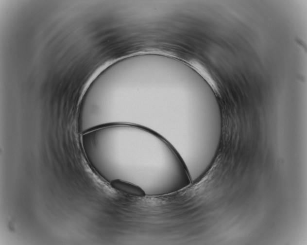 X0000096701100200803041316
