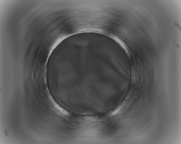 X0000096701102200803041316