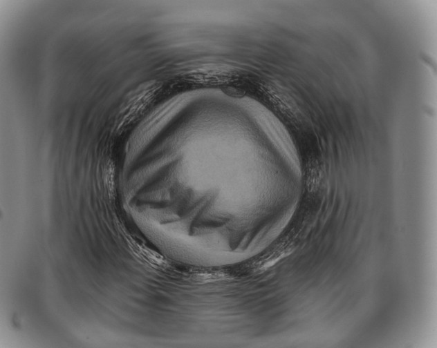X0000096701108200803041315