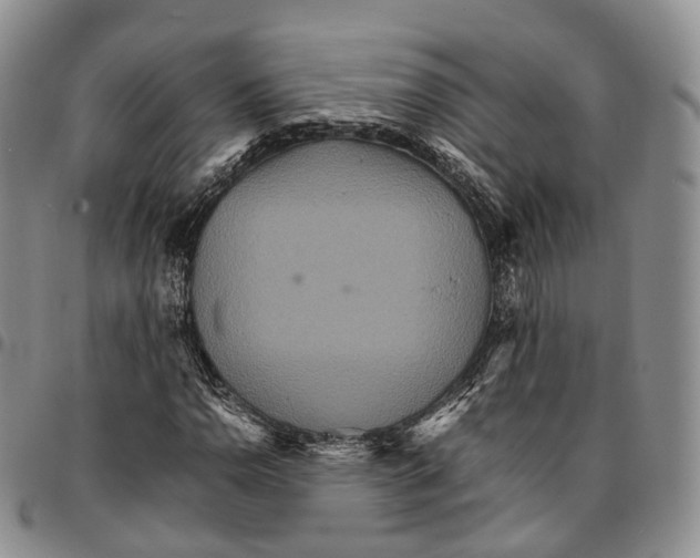 X0000096701110200803041315