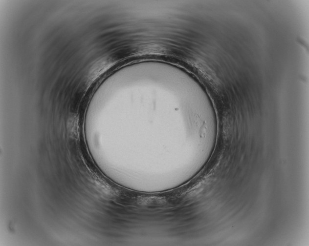 X0000096701113200803041315