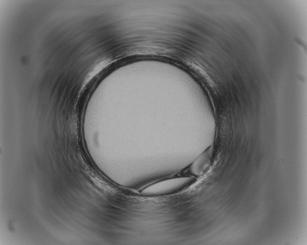 X0000096701114200803041315