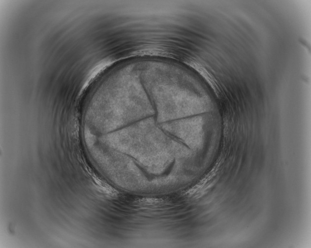 X0000096701115200803041315