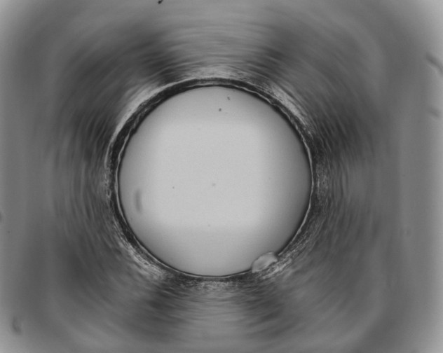 X0000096701116200803041315