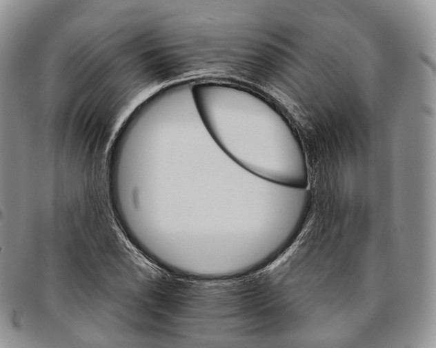 X0000096701118200803041316