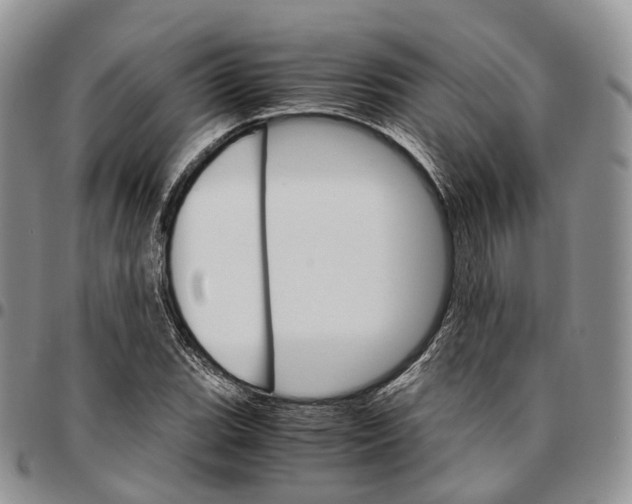 X0000096701119200803041316
