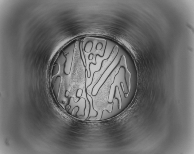X0000096701120200803041316