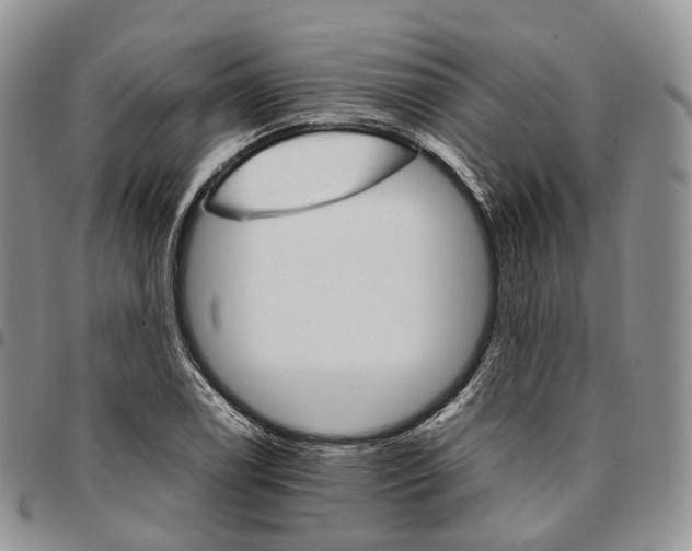 X0000096701122200803041316