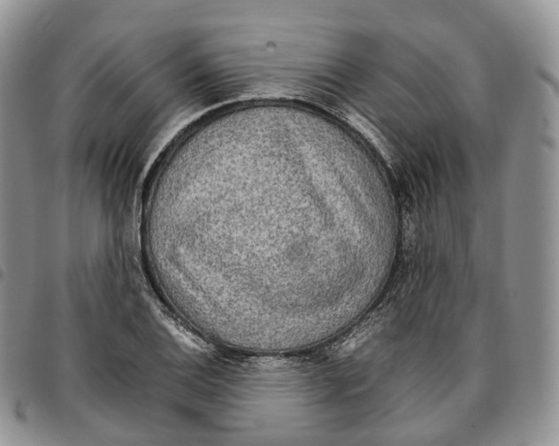 X0000096701124200803041316