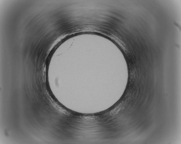 X0000096701126200803041316