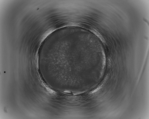 X0000096701127200803041316