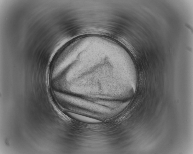 X0000096701128200803041316