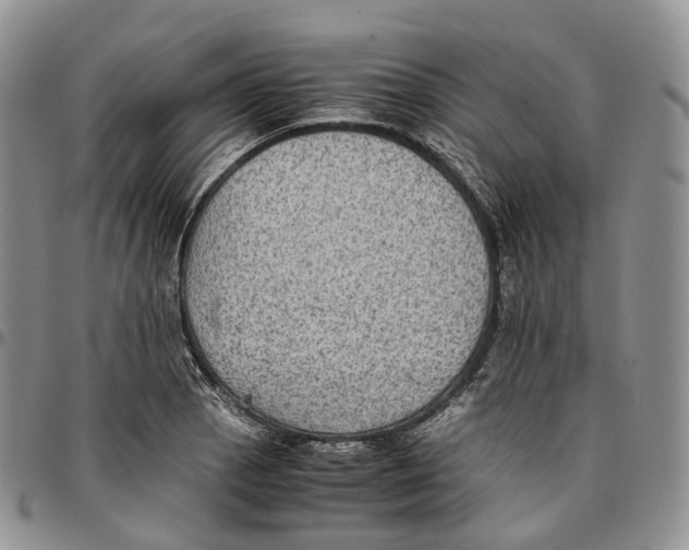 X0000096701129200803041316