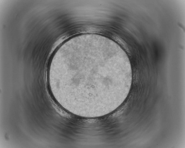 X0000096701130200803041316