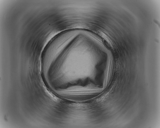X0000096701132200803041316