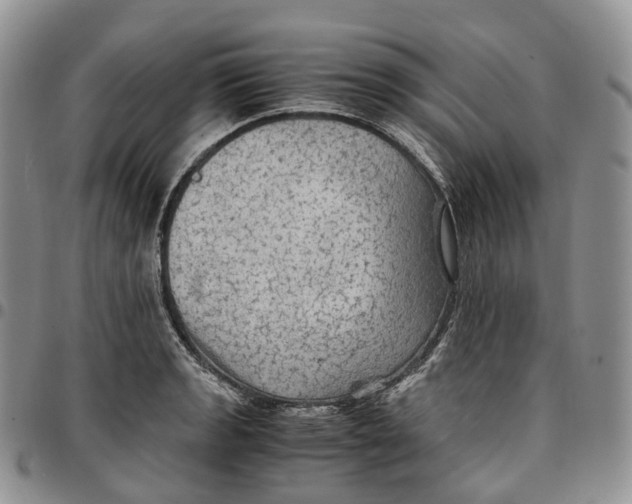 X0000096701133200803041316