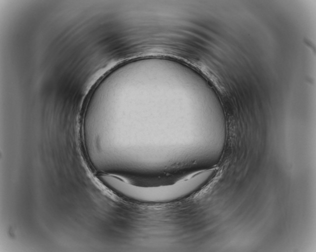 X0000096701134200803041316