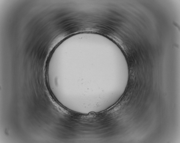 X0000096701135200803041316
