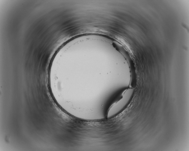 X0000096701136200803041316