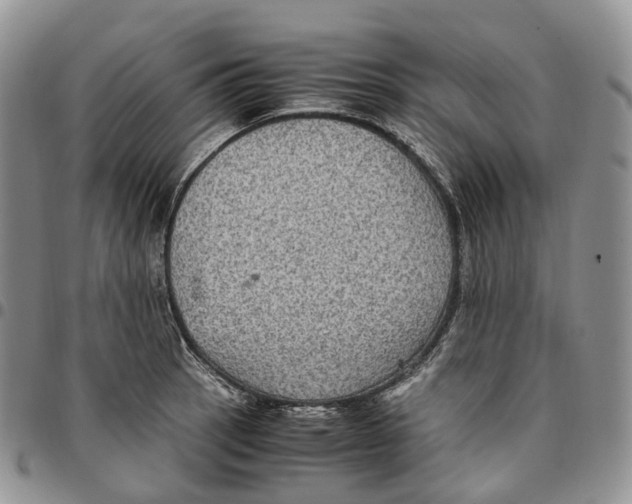 X0000096701137200803041316