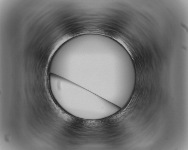 X0000096701139200803041316