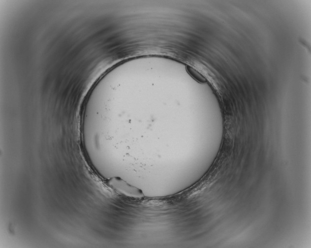 X0000096701140200803041316