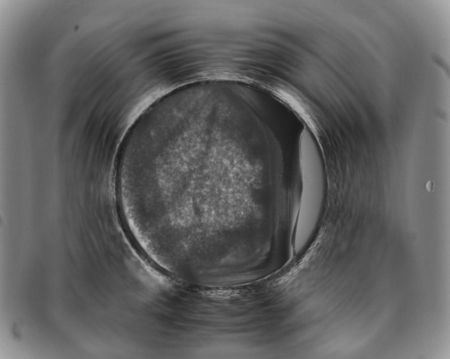 X0000096701141200803041316