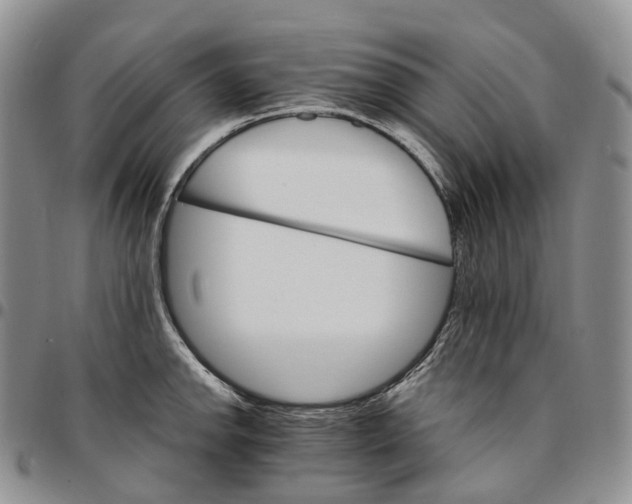 X0000096701142200803041316