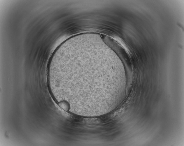 X0000096701143200803041316