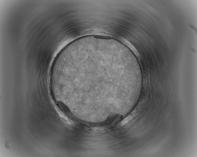 X0000096701144200803041316