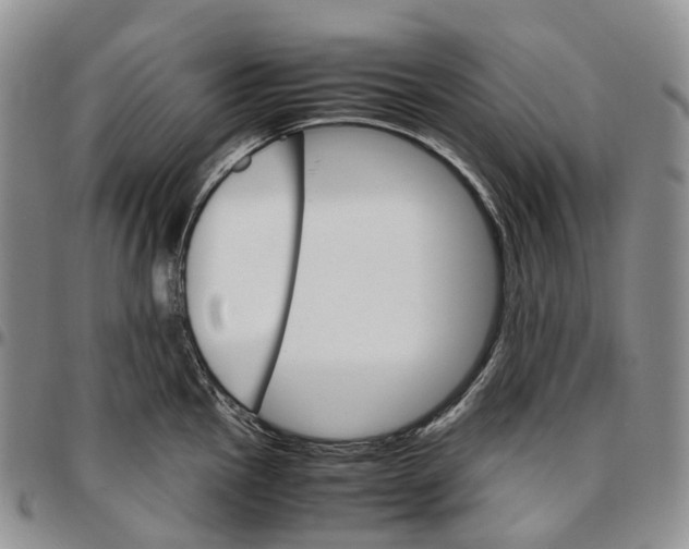 X0000096701145200803041316
