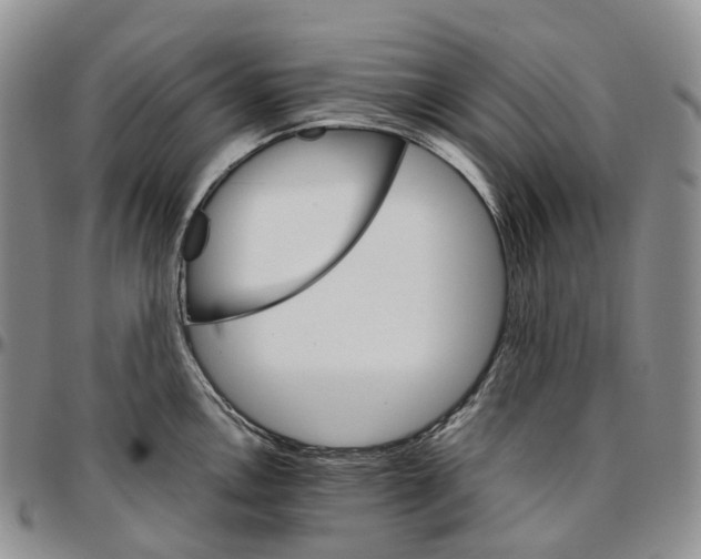 X0000096701146200803041316