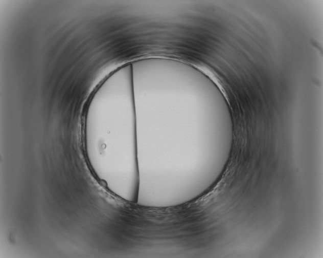 X0000096701147200803041316