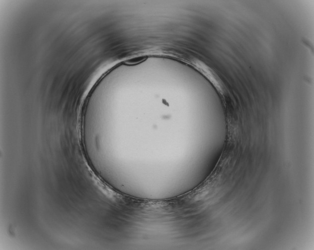 X0000096701148200803041316