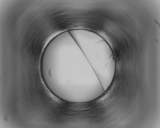X0000096701149200803041316
