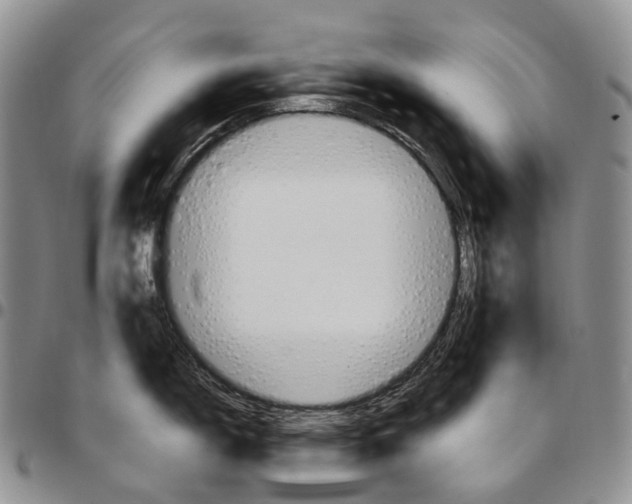 X0000096701150200803041316