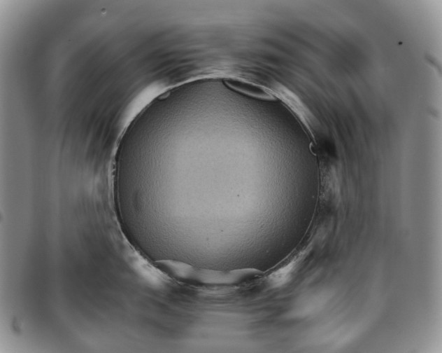 X0000096701151200803041316