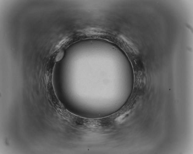 X0000096701157200803041315