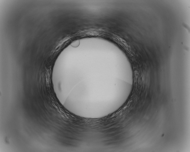 X0000096701158200803041315